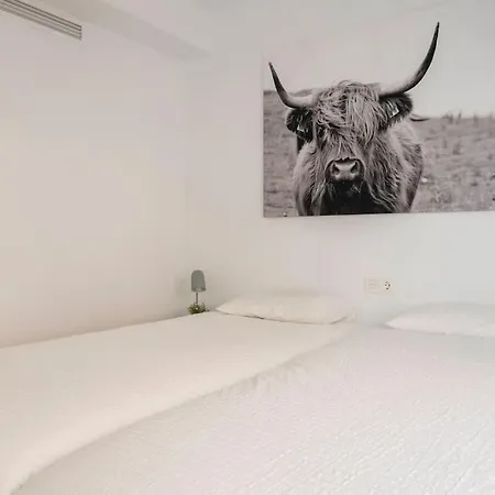 Nieuw Aan Strand, Haven En Centrum! Apartamento *