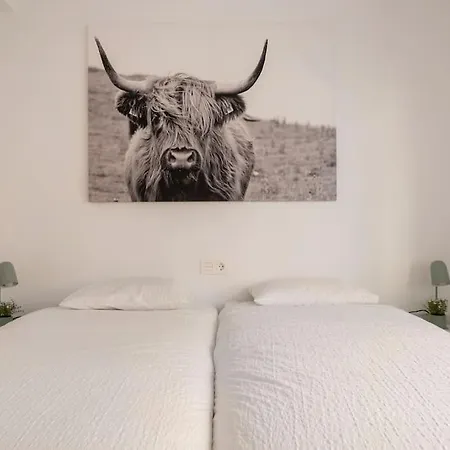 Apartamento Nieuw Aan Strand, Haven En Centrum! *